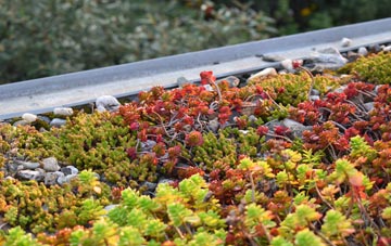the cost of Counters End green roof installation