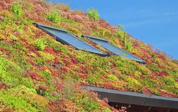 Counters End living roof systems