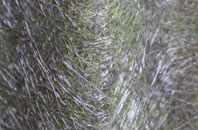 Counters End fibreglass roof work